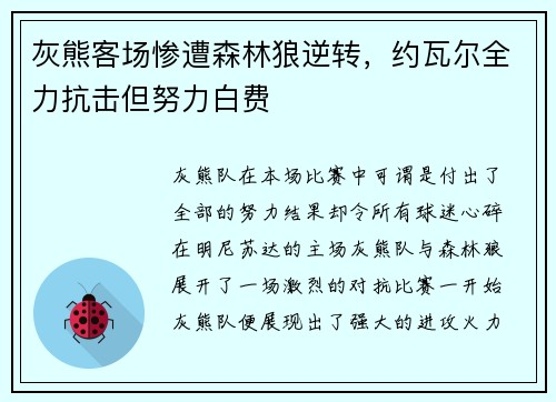 灰熊客场惨遭森林狼逆转，约瓦尔全力抗击但努力白费